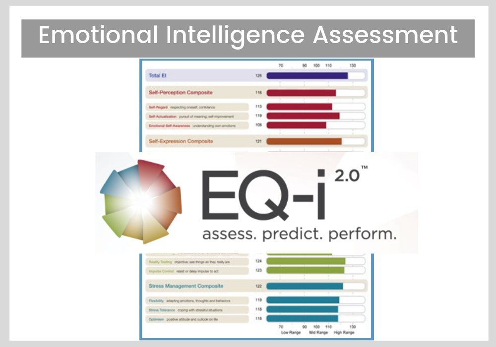 eqi assess 1000 700