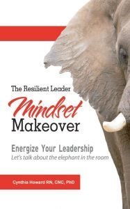 Mindset Makeover Energize leadership cover Mindset Makeover Energize leadership cover