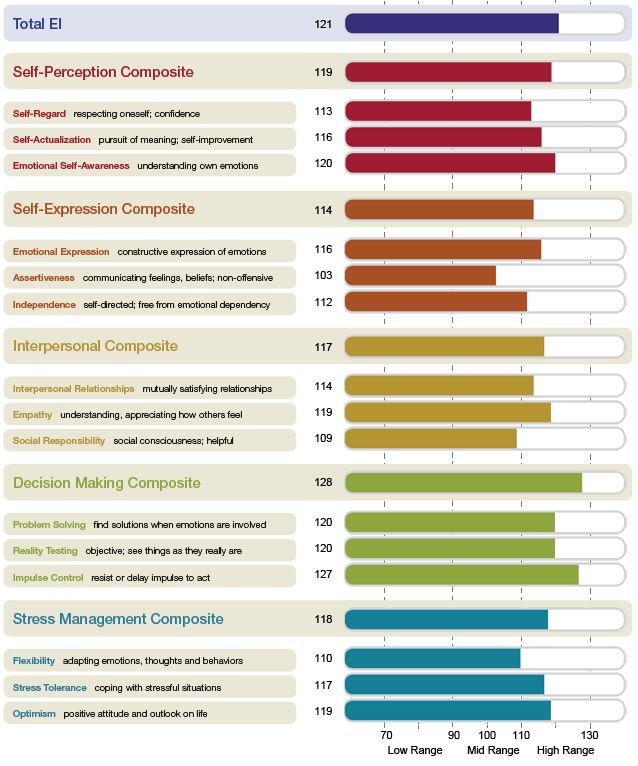 sample EQi report 2 sample EQi report 2